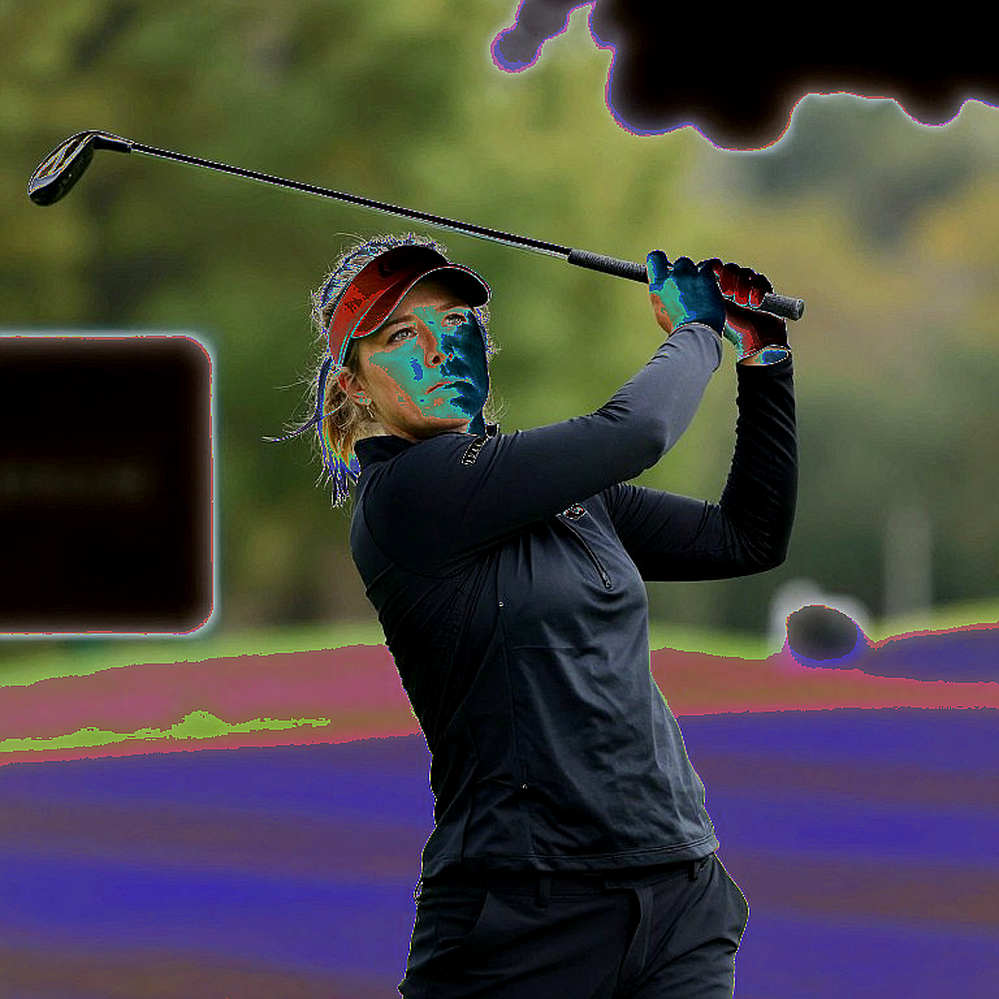 Khi bảng dữ liệu golf trống: vì sao 'không đủ thông tin' là một kết luận